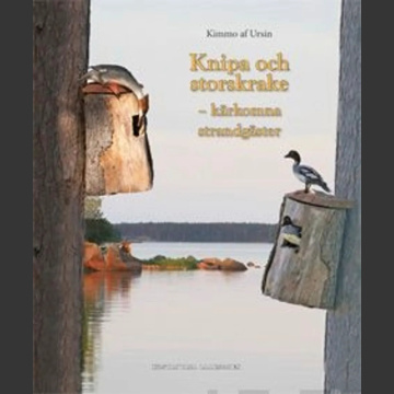 Knipa och storskrake – kärkomna strandgäster  (  Kimmo af Ursin 2013 )