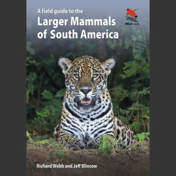 A Field Guide to the Larger Mammals of South America - Richard Webb and Jeff Blincow 2024