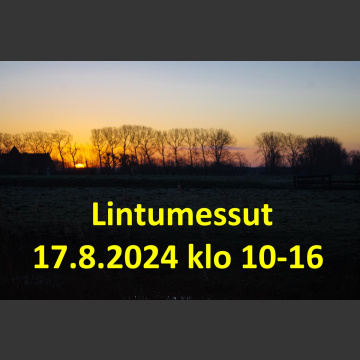 Lintumessut 17.8.2024