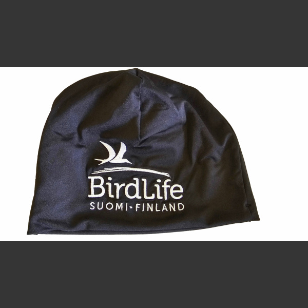 Birdlife pipo