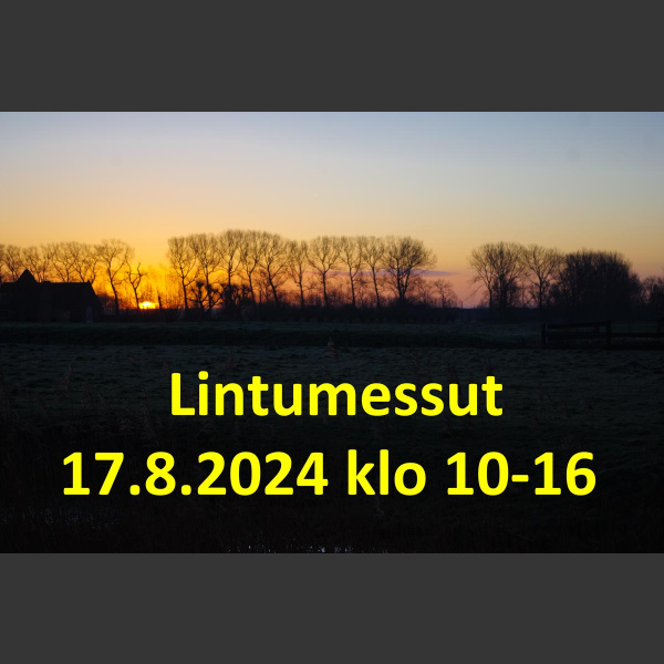 Lintumessut 17.8.2024