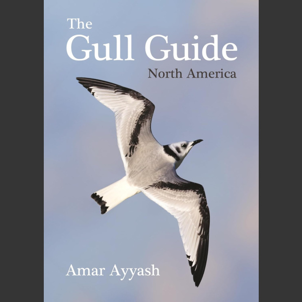 The Gull Guide: North America - Amar Ayyash 2024